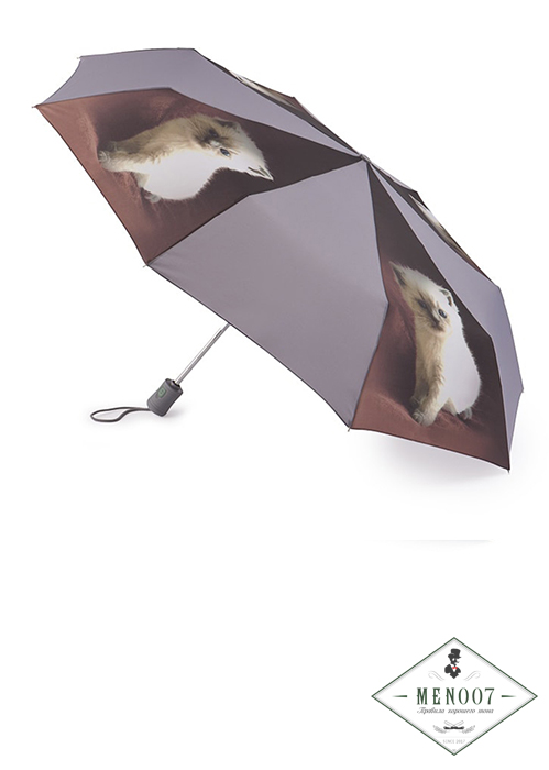Зонт с фотопринтом котенка «Котенок», автомат, OpenClose-4, Fulton R346-3362